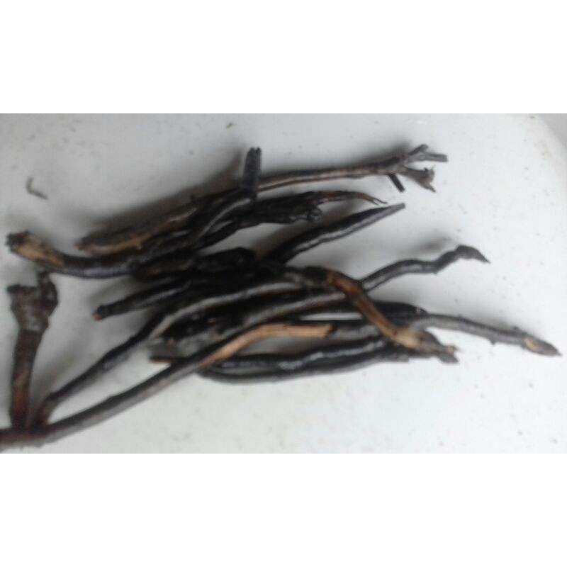 

akar aren/akar kaung 1kg