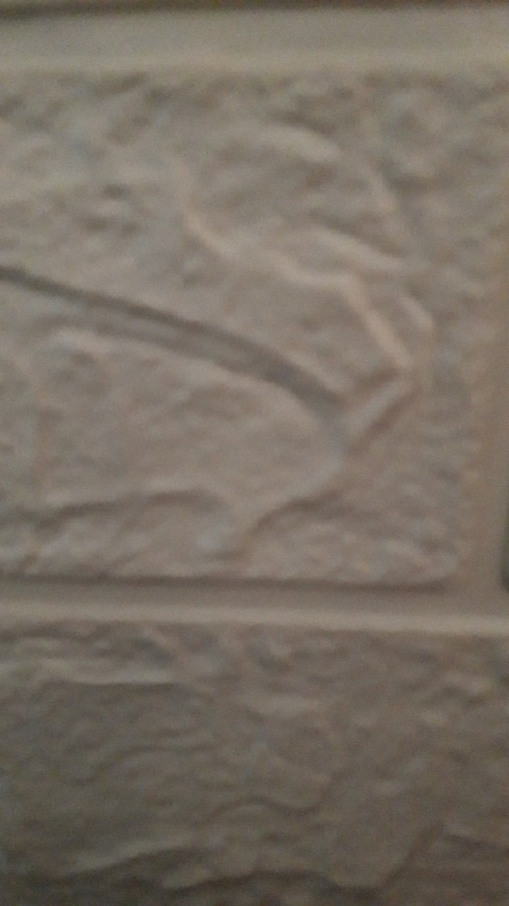 Baygon 600ml Citrus Fresh, Flower Garden 600ml (khusus Gojek Surabaya)/toko Makmur Online