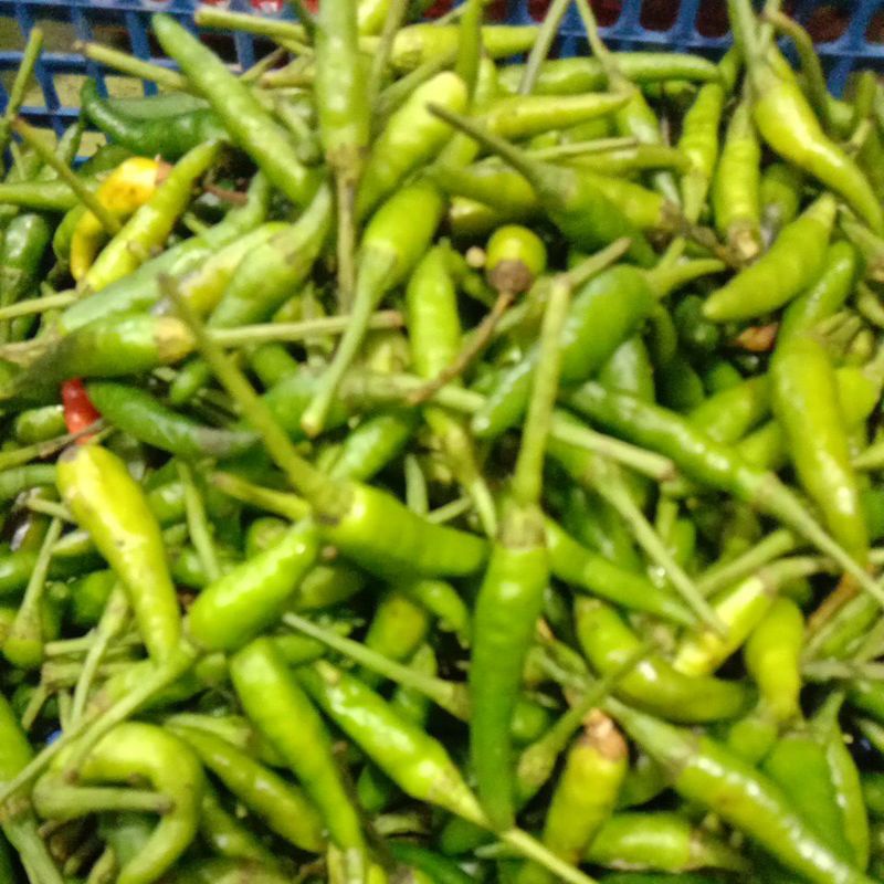 

rawit ijo caplak1kg