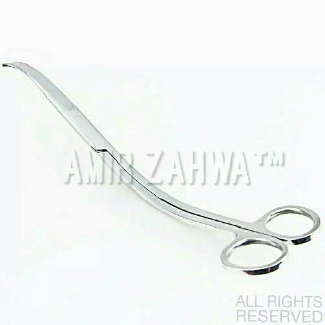 Gunting Ombak Aquascape