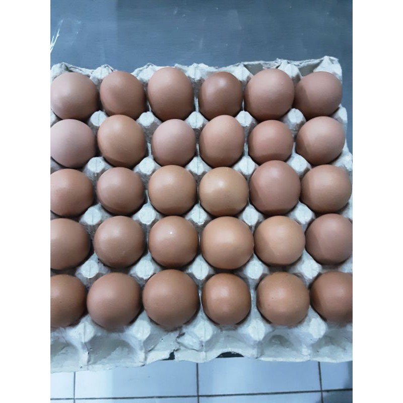 Telur Ayam Negeri 30 Butir/ 1 Tray