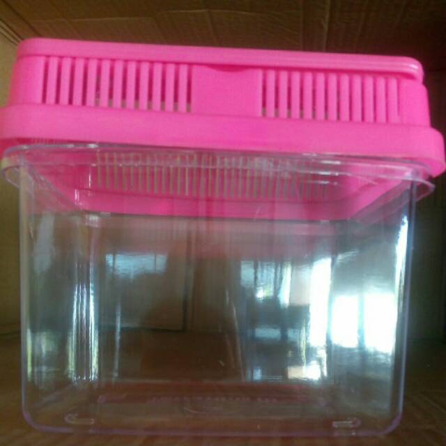 Toples Aquarium akuarium mini Hamster, Kura-kura, Ikan hias