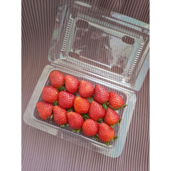 

Buah Strawberry Mencir Fresh Asli Ciwidey