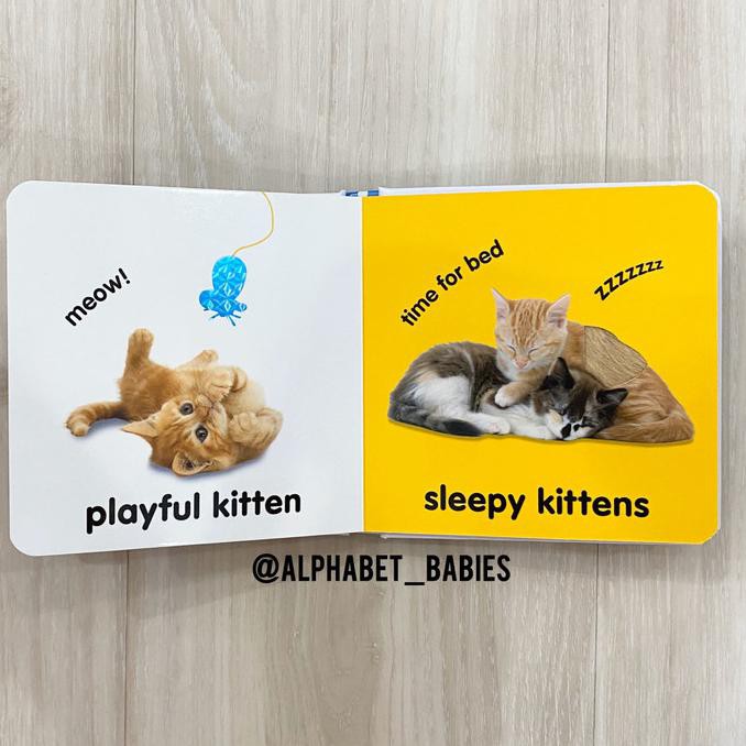 Baby Touch And Feel Kittens