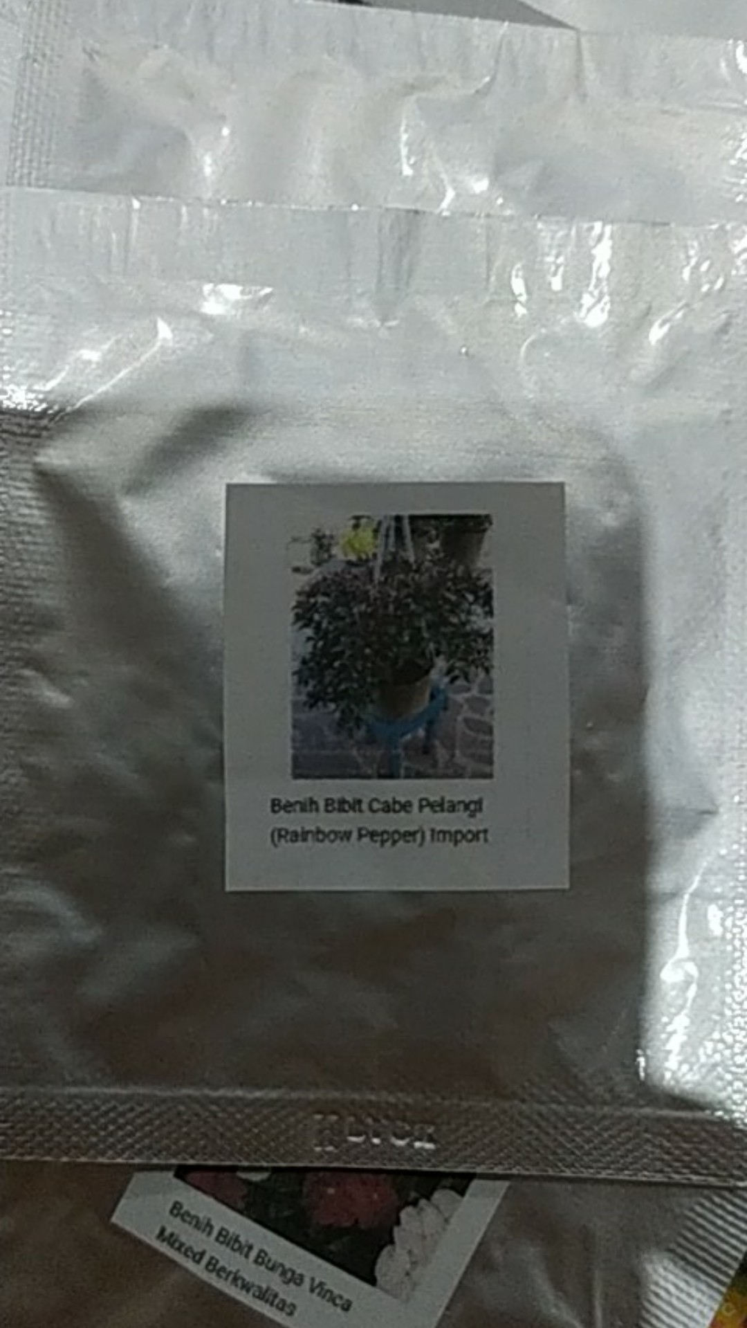 Benih Bibit Cabe Pelangi (rainbow Pepper)