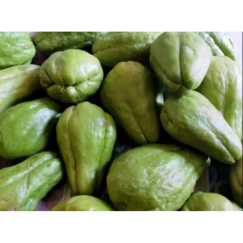 

Sayur manisa atau labu siam fresh 1 kg