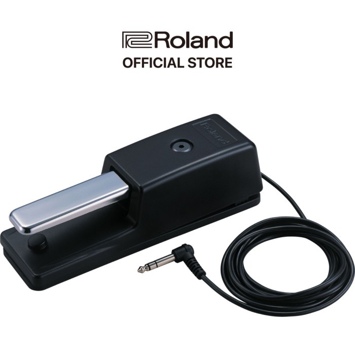 Roland DP-10 Damper Pedal Sustain Piano Keyboard