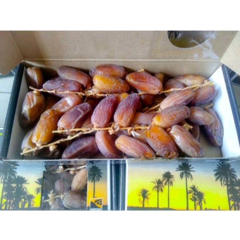 

Kurma Palm Fruit Frutt Nikmat Lezat (500gr)