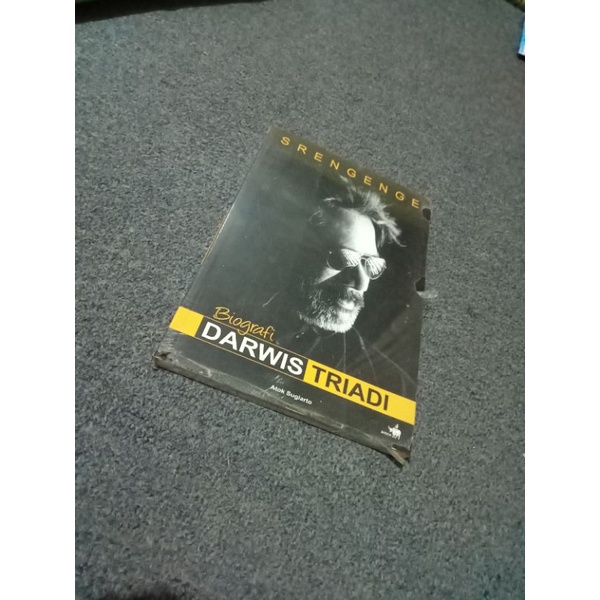 Biografi Darwis Triadi