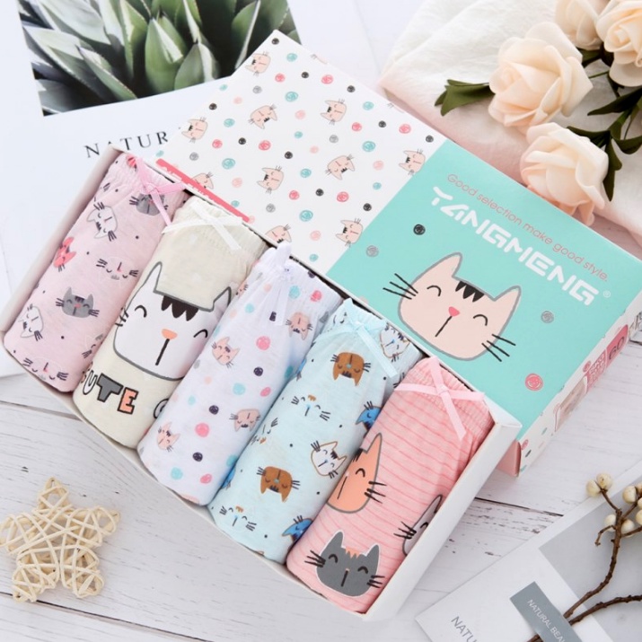 SET Celana Dalam Anak Perempuan Cat Celana Dalam Anak dengan Box Kolor Anak Perempuan Import Kucing