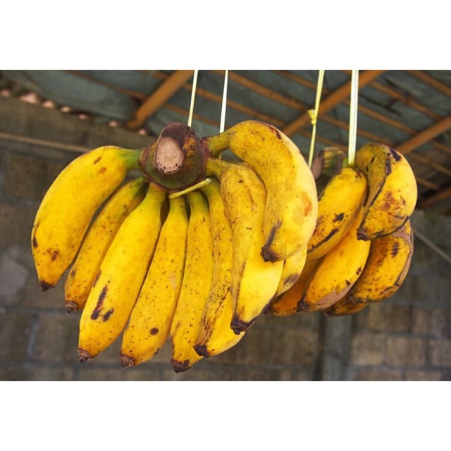 Image result for pisang raja