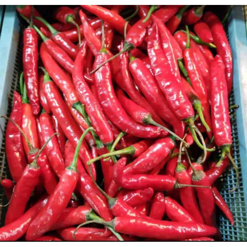 

iDk90 cabe merah besar segar 250gr