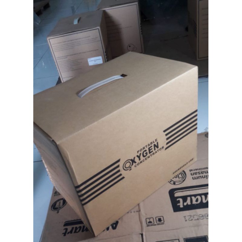 Oxygen portable Concentrator