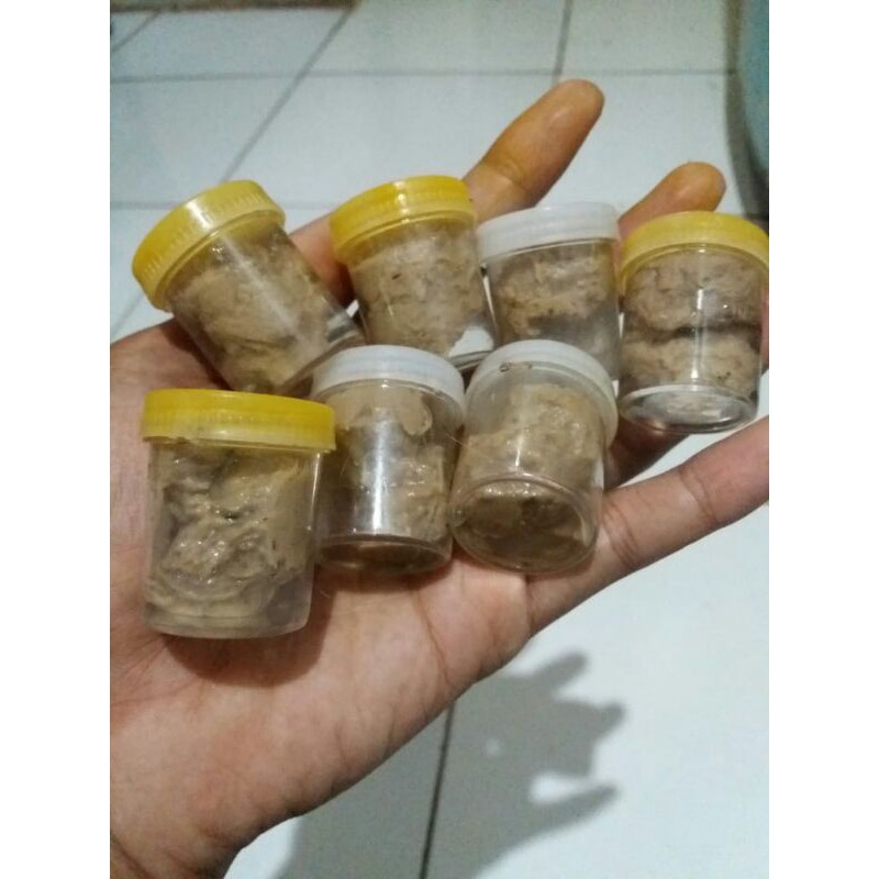 Lem Pulut Burung PULUT PAIJO PAIJO MURAH DAYA REKAN KUAT BISA DIPAKE BERKALI KALI