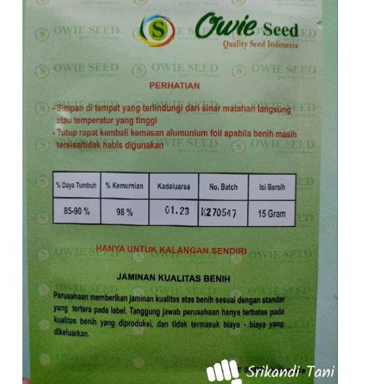 Serbuuuu.. Cabe Veloz 12.5gr Unggul Tahan Virus Cmk Velos Toleran Virus Kuning Buah Lebat