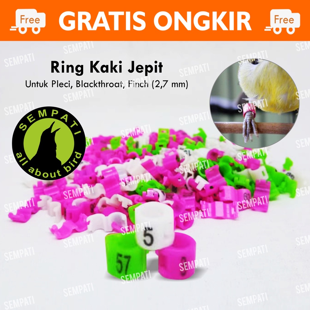 RING JEPIT PLASTIK 2,7MM GELANG KAKI BURUNG BLACKTHROAT PLECI FINCH