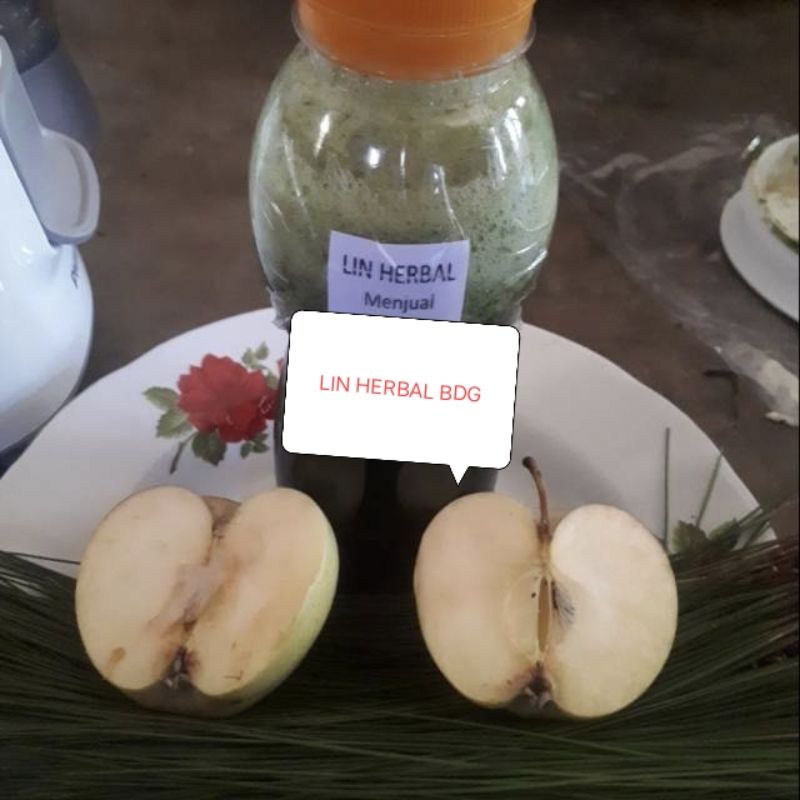 

herbal jus daun pinus swgar 600 ml