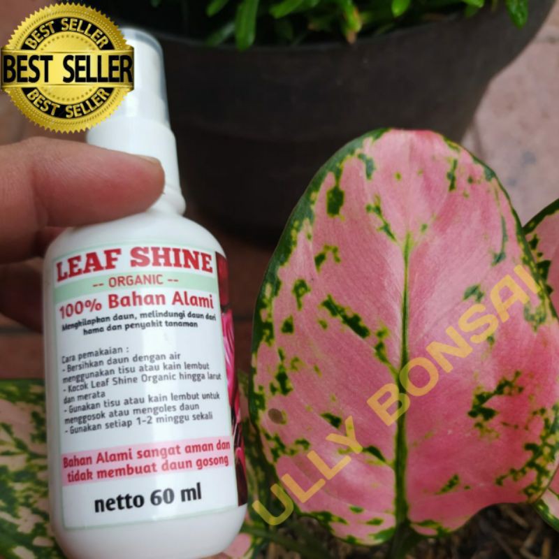 KILAP DAUN SPRAY LEAF SHINE 60ml