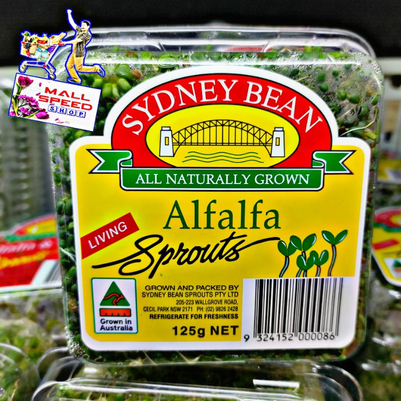 

daun alfalfa sprouts fresh 125gr australia all varian