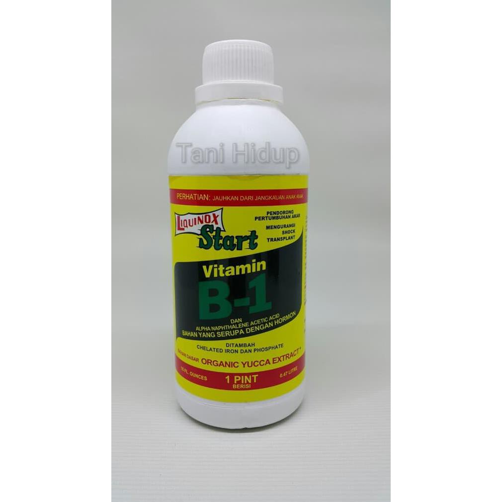 

PUPUK LIQUINOX START VITAMIN B1 KEMASAN 1 PINT /BERAT 600GR