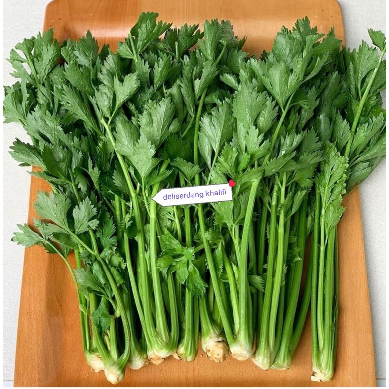 

DAUN SOP SEGAR