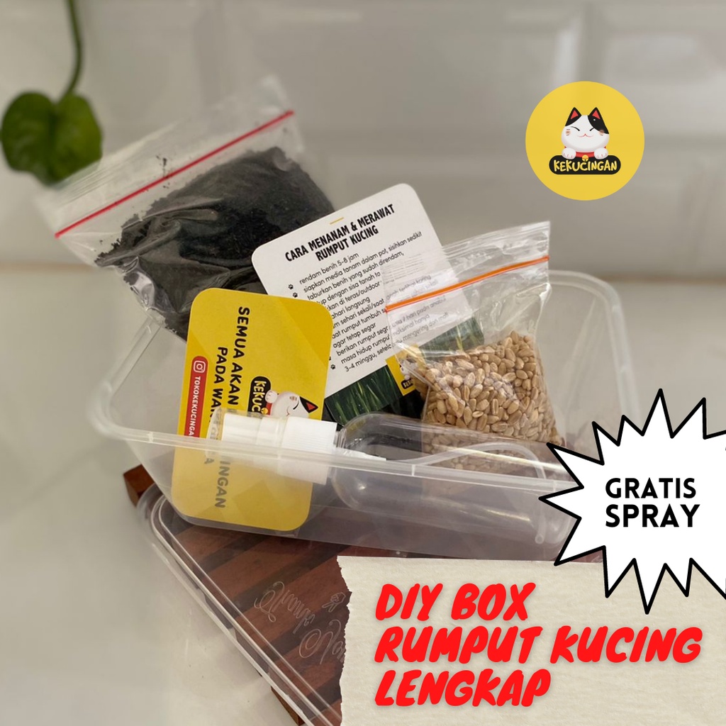 Paket Tanam Rumput Kucing DIY BOX Obat Hairball Kucing Anjing Wheatgrass Rumput Gandum Kekucingan