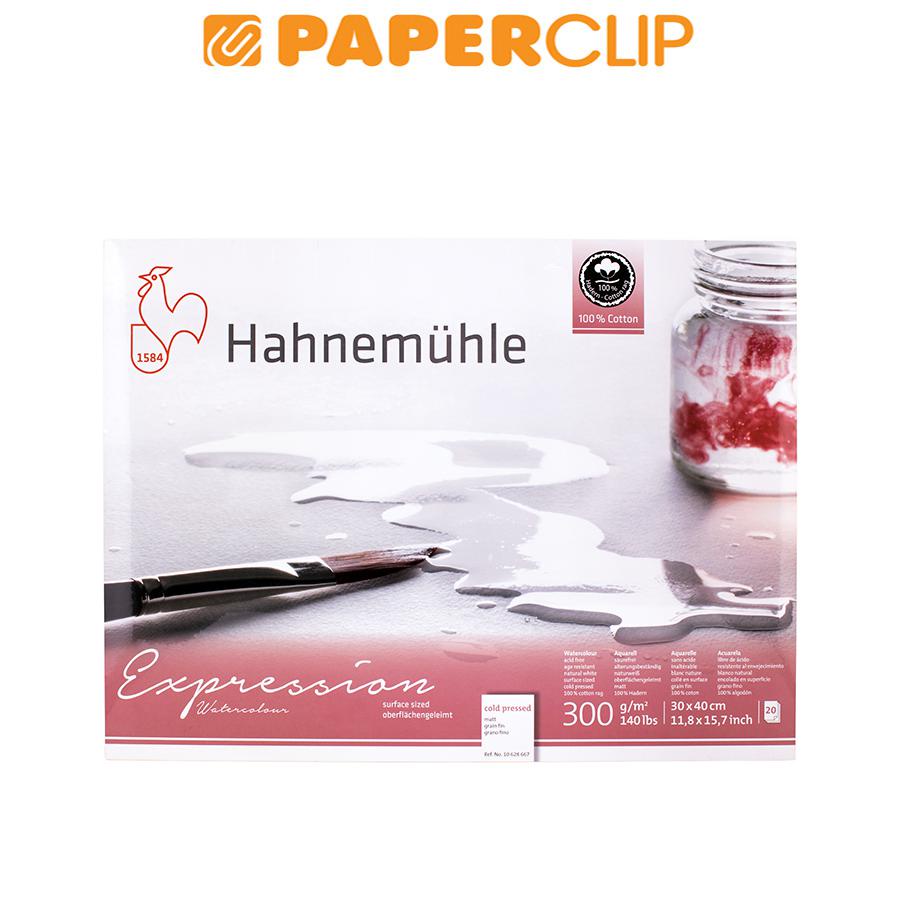 

WATERCOLOR PAPER HAHNEMUHLE EXPRESSION 300GSM 20S 10628667