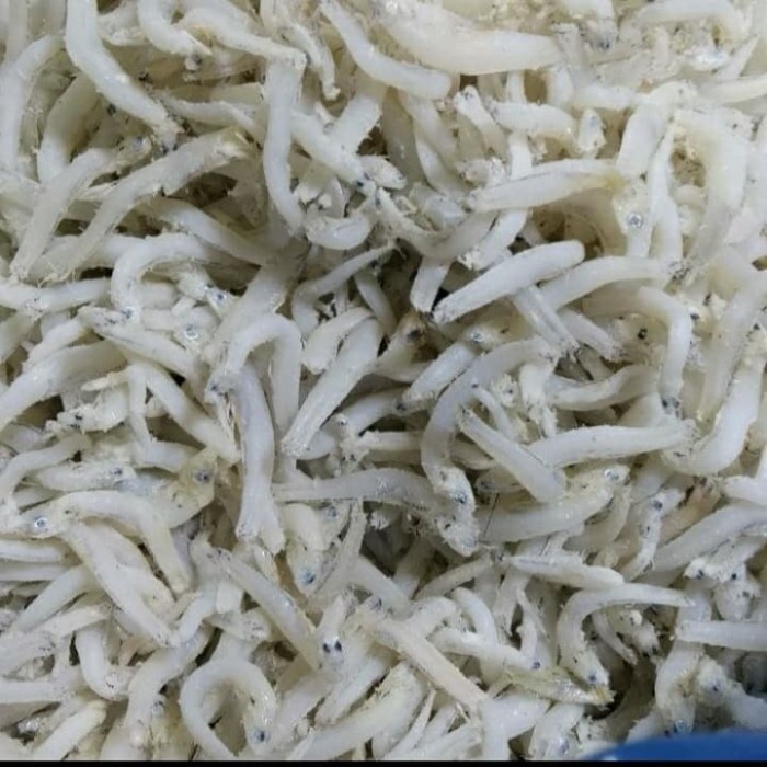 

Teri Toge Medan 250 gram