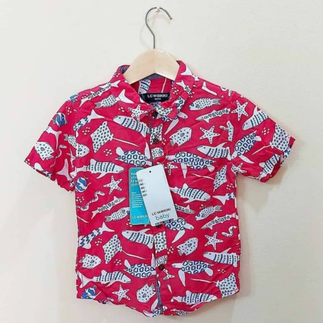 LC Waikiki Button Down Shirt