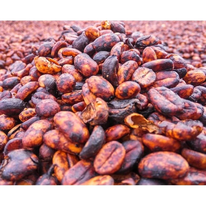 

⭐ BISA COD ⭐ Mokhabika Specialty Coffee Gayo Kenawat Black Honey 200 Gr