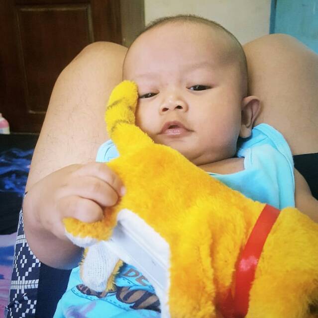 navisatul10