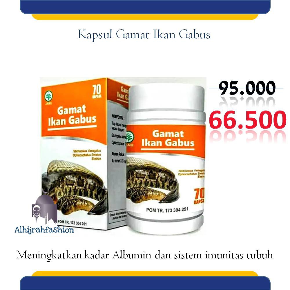 Kapsul Gamat plus Ikan Gabus bukan Gamat Gold G Herbal Maag Herbal Diabetes