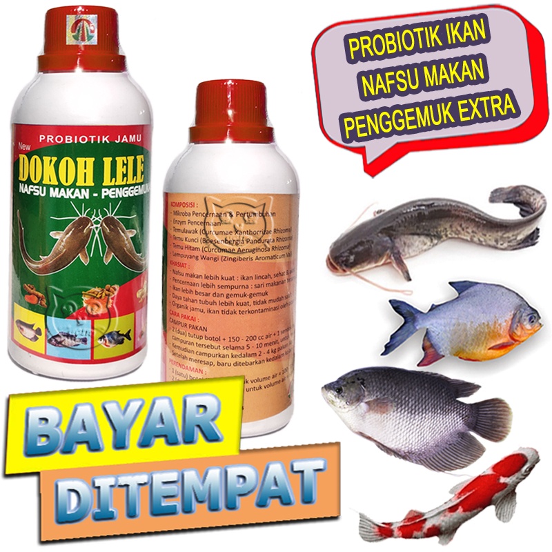Dokoh Lele Vitamin Penggemuk Obat Nafsu Makan Ikan