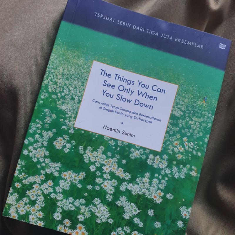 the things you can see only when you slow down preloved