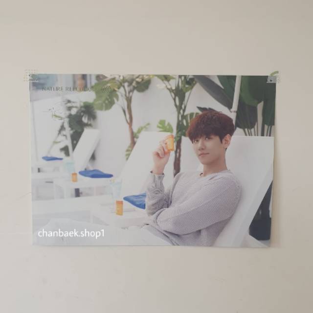 EXO NATURE REPUBLIK POSTER