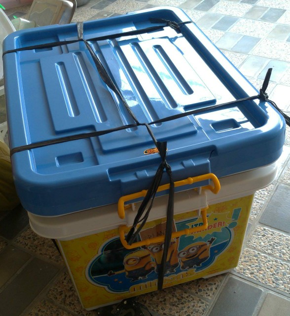 Container Box 95l Minion Naiba