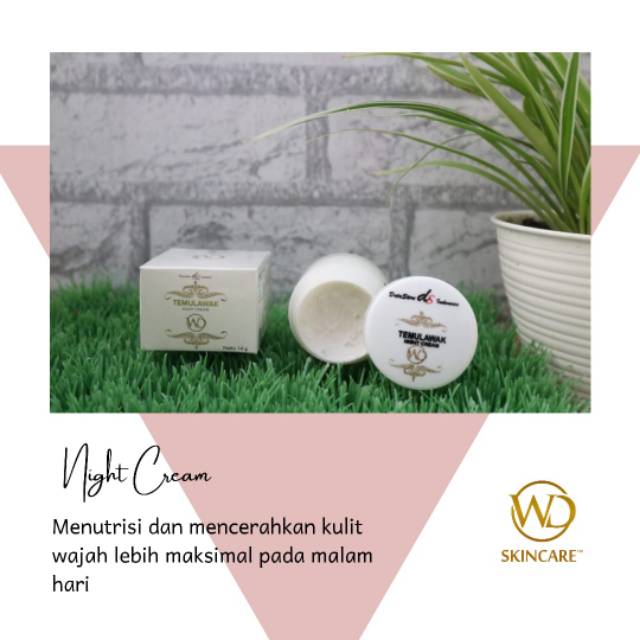 Night cream temulawak WD premium