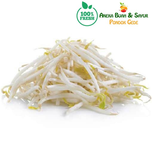 

Toge Besar Segar 1kg