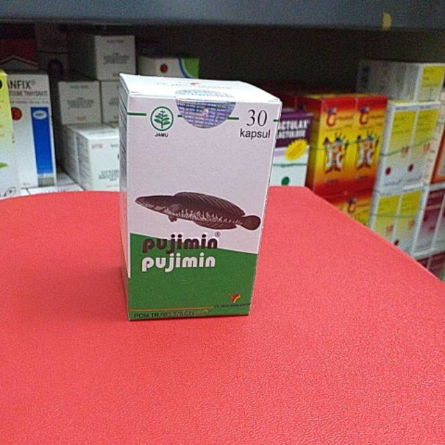 PUJIMIN