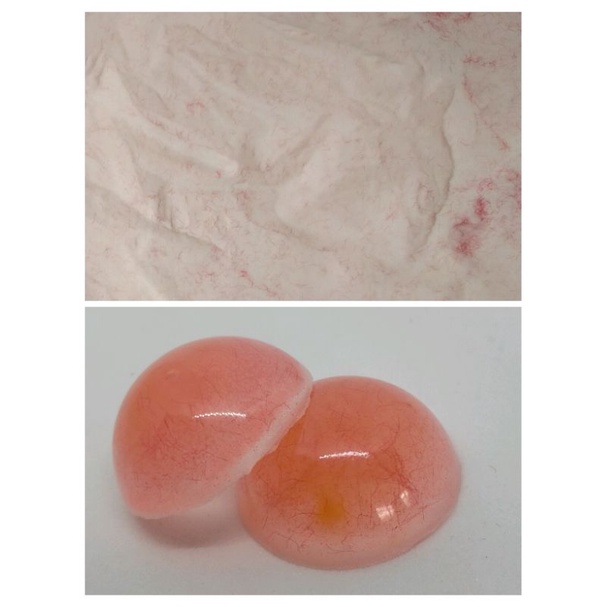 RB22 powder acrylic gigi palsu Self Cure Mr Cure