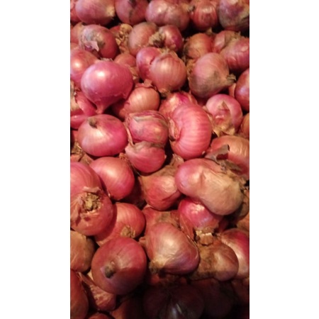 

Bawang Merah Batu Khusus Bandung