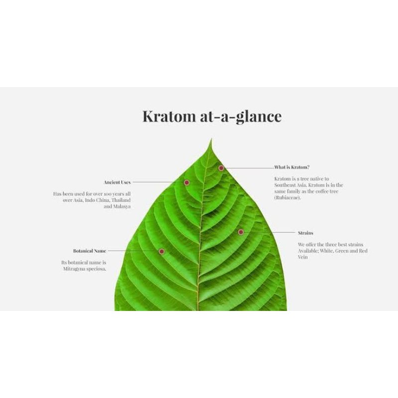 

ThePowerTradisionalHerbal
