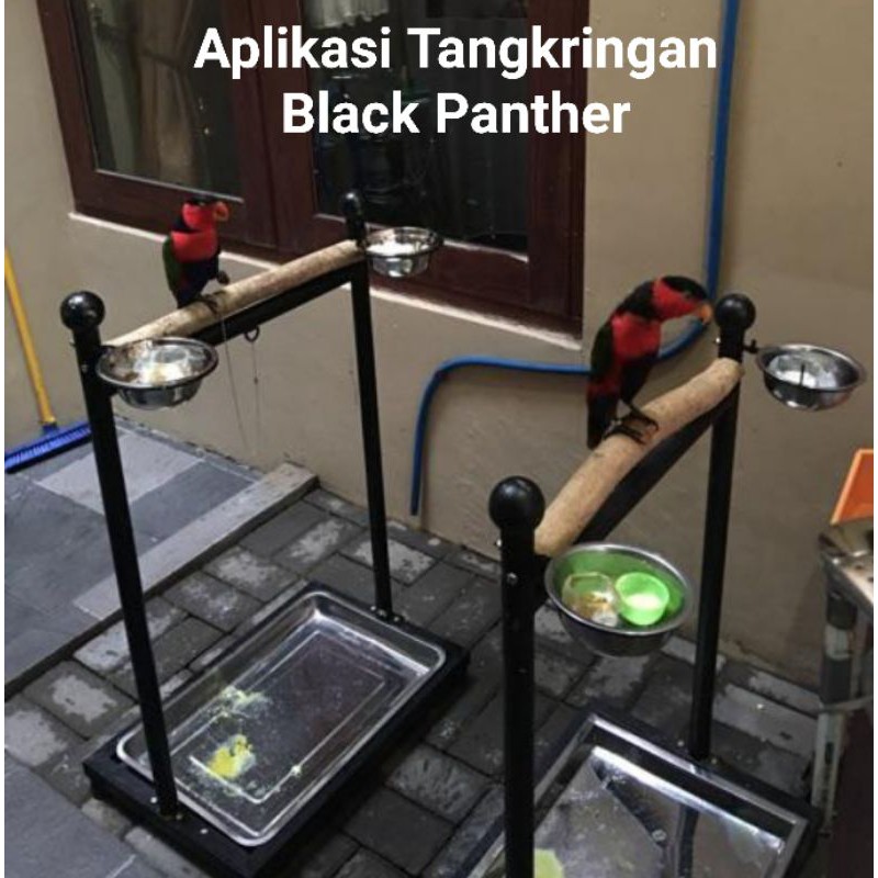 Tenggeran Tangkringan Burung Nuri Kakatua Afgrey Macau Hantu