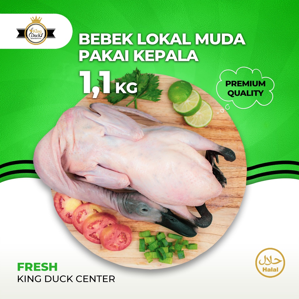 

BEBEK LOKAL MUDA / DAGING BEBEK 1,1 KG UTUH PAKAI KEPALA KAKI