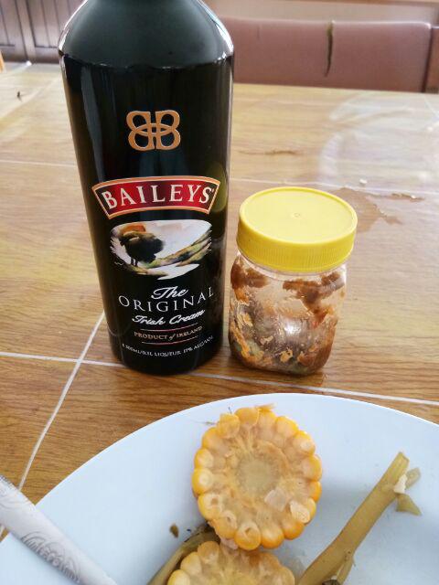 Botol Minum Custom Gambar Unik Baileys - Botol Minum Custom 500 Ml