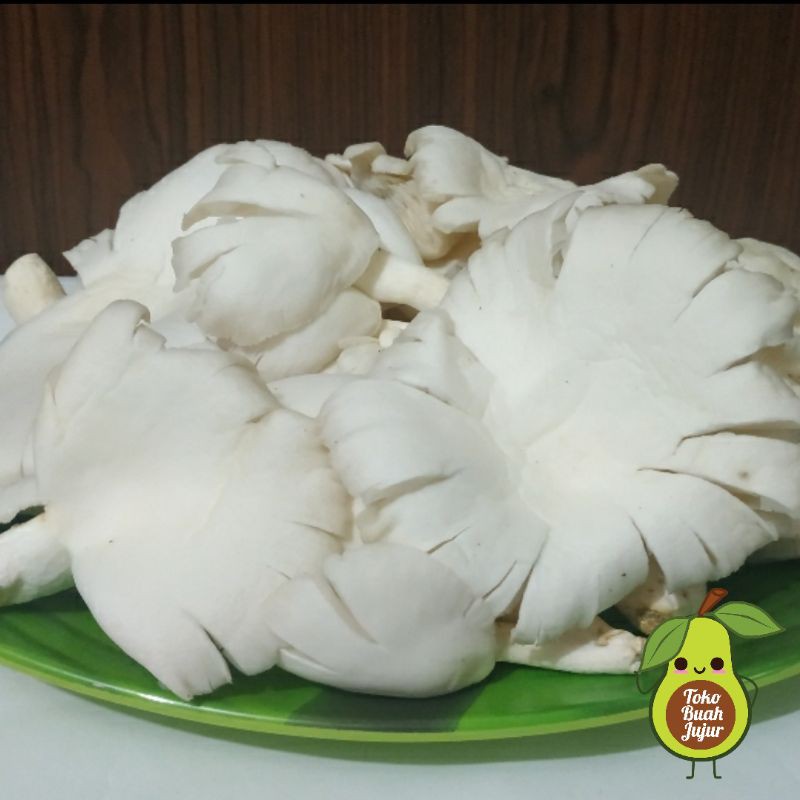 

JAMUR TIRAM FRESH 500Gr