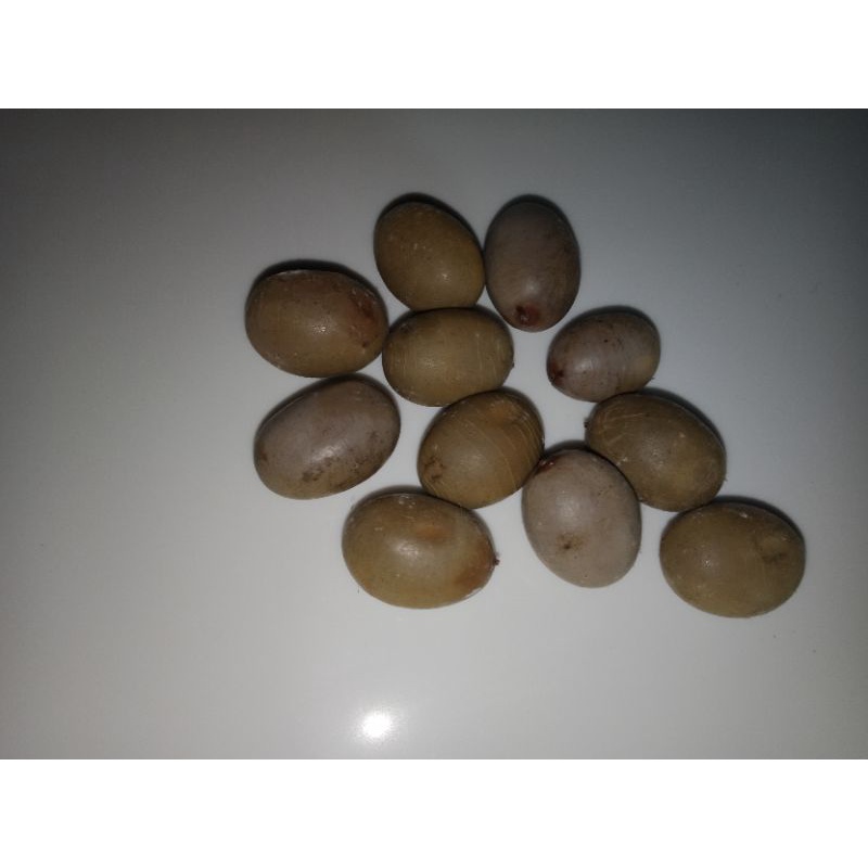 

Buah Gorek 250 gram