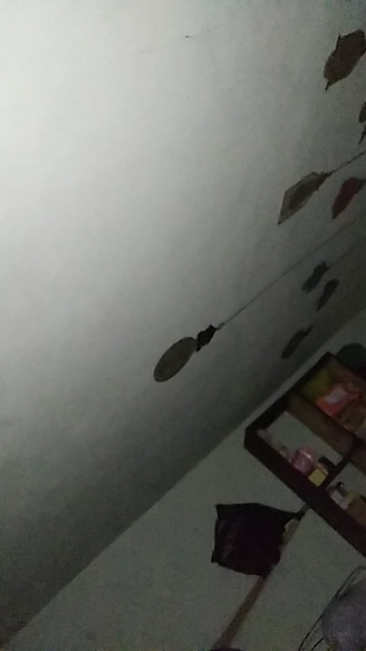 Pisau Dapur Pisau Sayat Tebal Dan Tajam Bahan Dari Per Baja Produk Ukm Indonesia