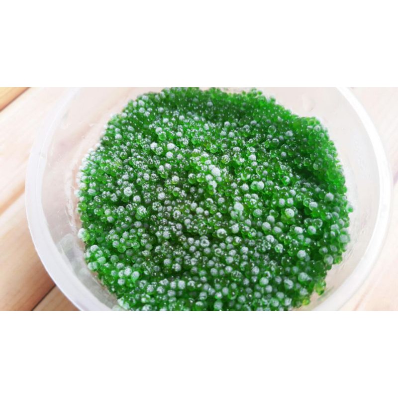 TOBIKO Premium Green 50 g Halal │ Telur Ikan Terbang Hijau Berbumbu