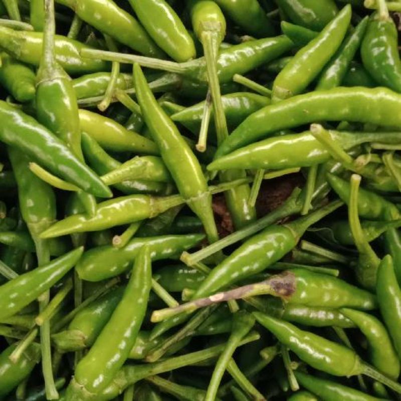 

Cabe rawit bencong 500 gram